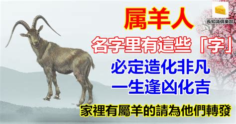 屬蛇適合的水晶|屬蛇人必知：哪些水晶最適合你？